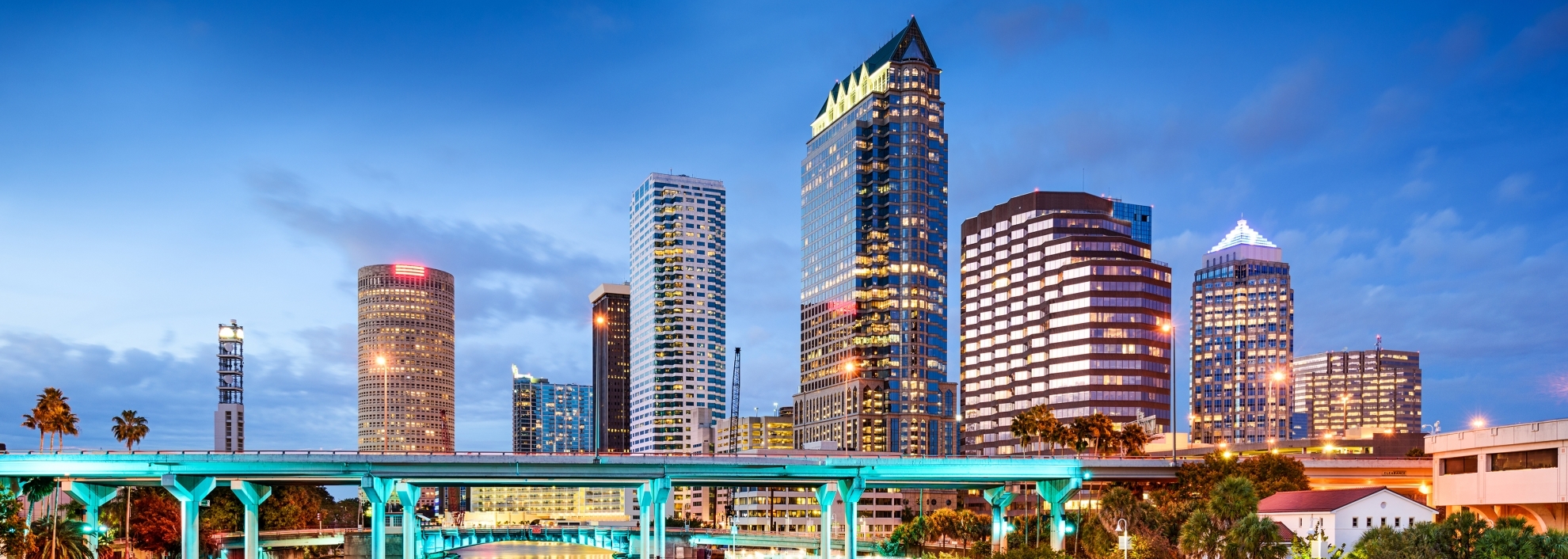 Downtown Tampa Bay at night